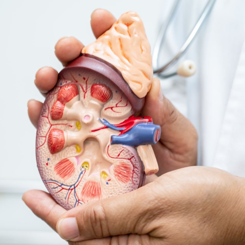 Transplant specialist consultation